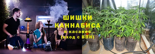 трава Алзамай