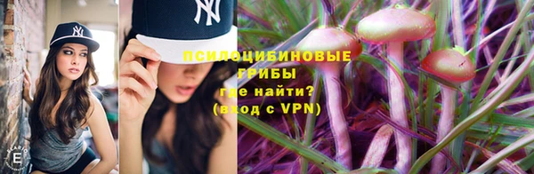 трава Алзамай